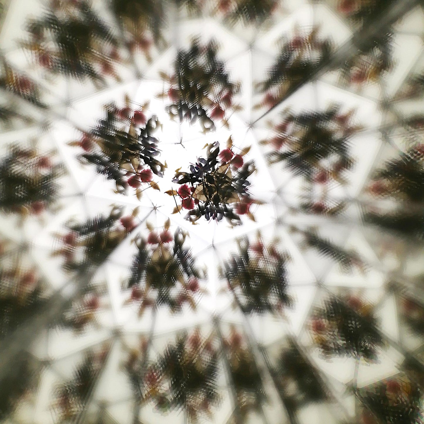 Caleidoscop-Ecoprint-Caleidoscopilaria 11