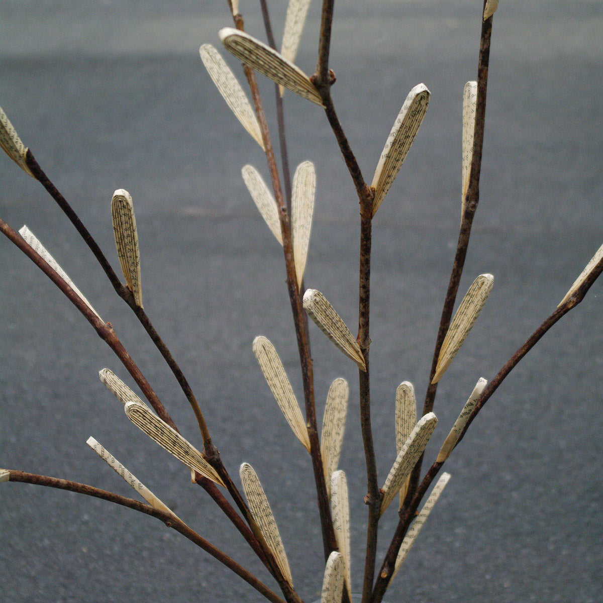 Poetic branches