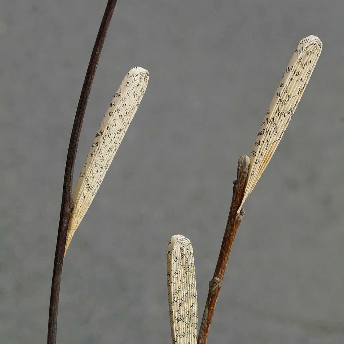 Poetic branches