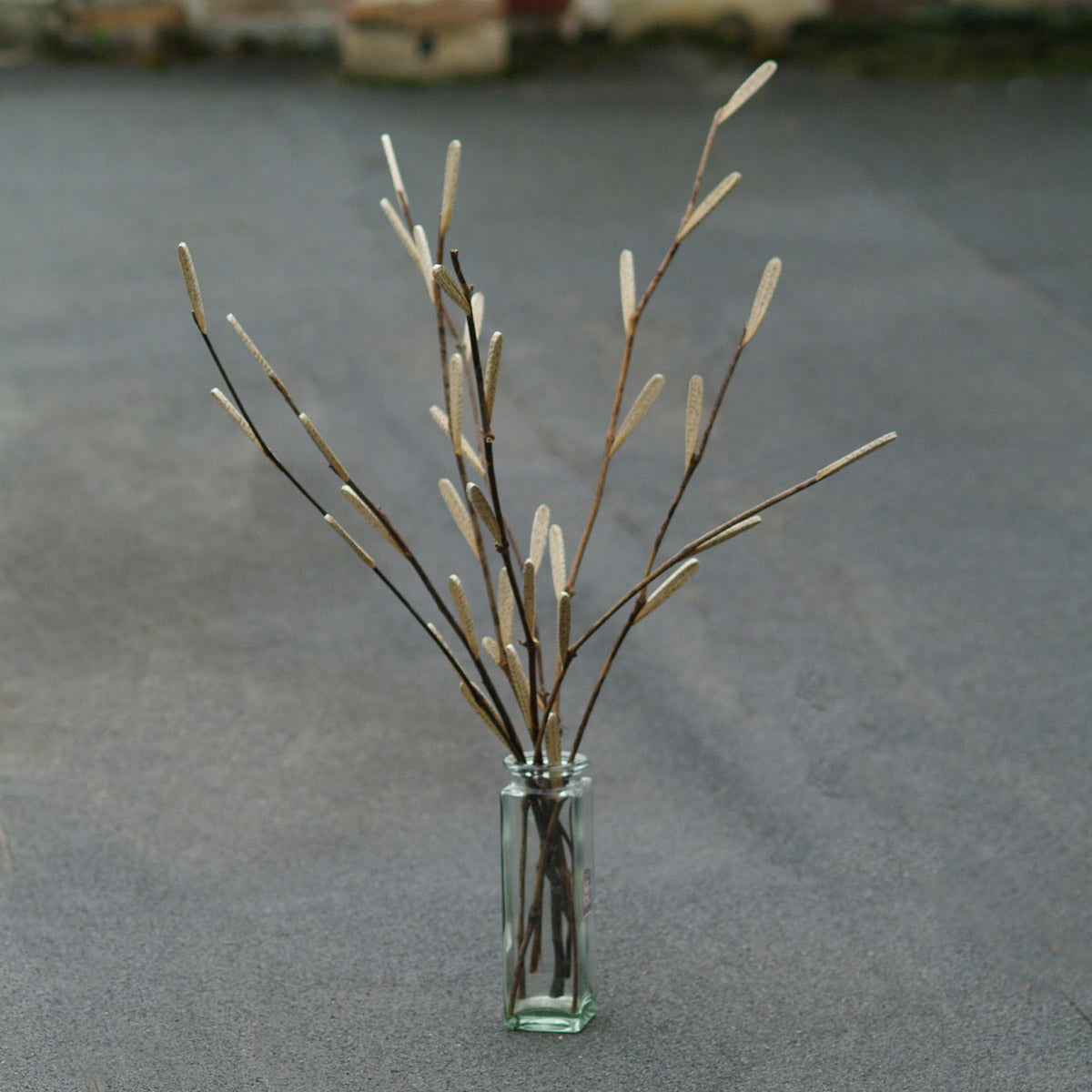 Poetic branches